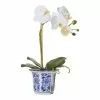 Rogue Butterfly Orchid In ChInoiserie Pot -Bed Linen store SP 609300