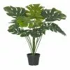 Rogue Monstera Plant In Garden Pot -Bed Linen store SP 612107