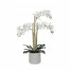 Rogue White Orchid In Ceramic Pot -Bed Linen store SP 613854
