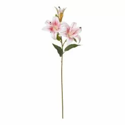 Rogue Lily Spray Stem Pink
