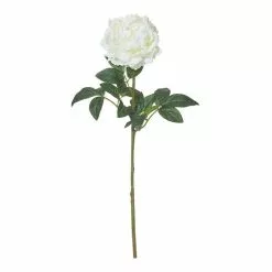 Rogue Peony Stem White