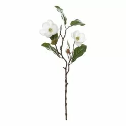 Rogue Chinese Magnolia Spray White 25 X15 X 51cm