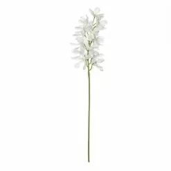Rogue Oncidium Orchid Spray White 82 Cm