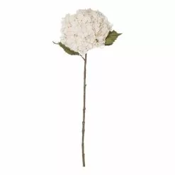 Rogue Hydrangea Stem Dusty Ivory 26 X 23 X 66cm
