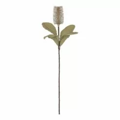 Rogue Banksia Stem White 74cm