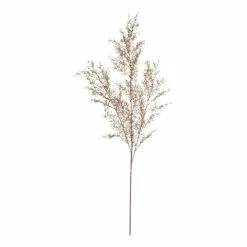 Rogue Tea Leaf Spray Coral 97 Cm