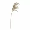 Rogue Pampas Grass Spray Beige 15 X 9 X 92 Cm -Bed Linen store SP 632483
