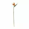 Rogue Bird Of Paradise Stem Orange 25 X 10 X 100 Cm -Bed Linen store SP 632495