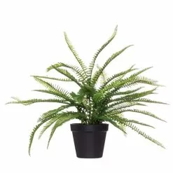 Rogue Boston Fern Garden Pot Green 50 X 50 X 53 Cm