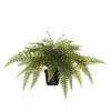 Rogue Ruffle Fern Pot 70x70x40cm -Bed Linen store SP 632525
