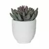 Rogue Spikey Echeveria Orson Pot -Bed Linen store SP 632533