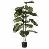 Rogue Pothos Plant Pot -Bed Linen store SP 632554