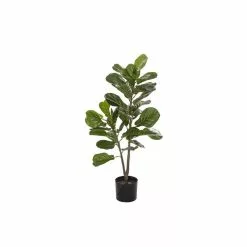 Rogue Fiddle Tree 50x50x90cm