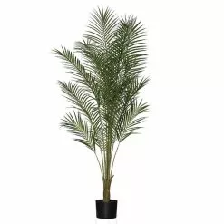 Rogue Areca Palm 150cm