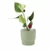 Linen House 10cm Planter Pot Rivera Mint -Bed Linen store SP 638454