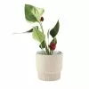 Linen House 10cm Planter Pot Rivera Taupe 1 Linen House 10cm Planter Pot Rivera Taupe -Bed Linen store SP 638456