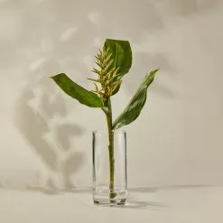 Casa Domani Moda Cylindrical Vase 25cm Gift Boxed